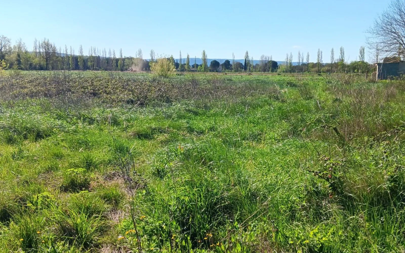Projet de construction d'une maison 79 m² avec terrain à COURSAN (11) à Coursan — photo 7