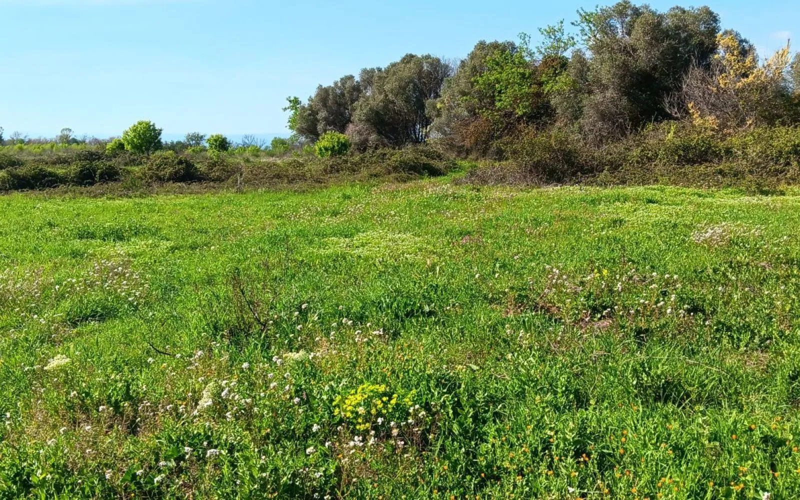 Projet de construction d'une maison 79 m² avec terrain à SALLES-D'AUDE (11) à Salles-d'Aude — photo 6
