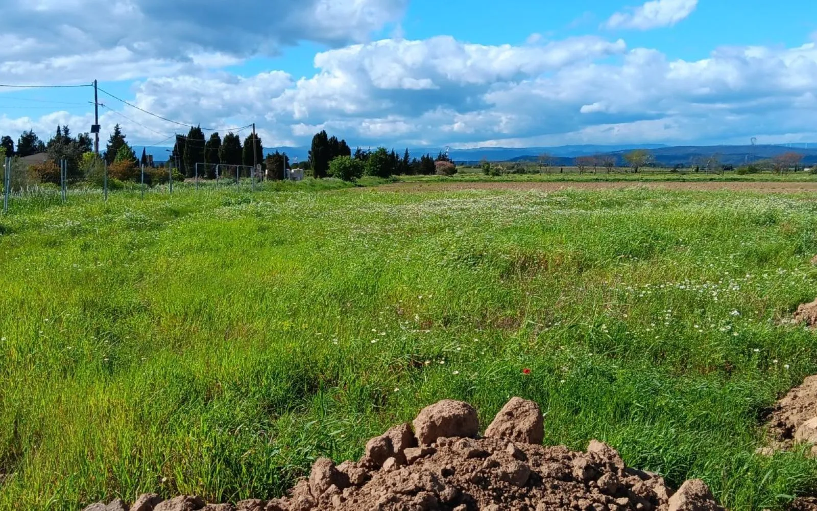 Projet de construction d'une maison 81 m² avec terrain à CRUSCADES (11) à Cruscades — photo 5