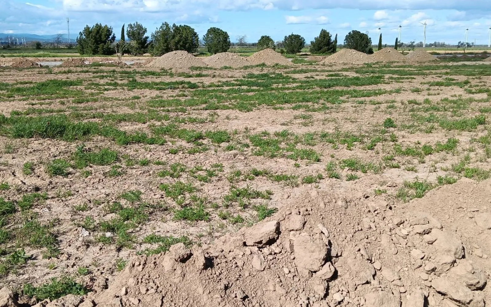 Projet de construction d'une maison 81 m² avec terrain à CRUSCADES (11) à Cruscades — photo 6