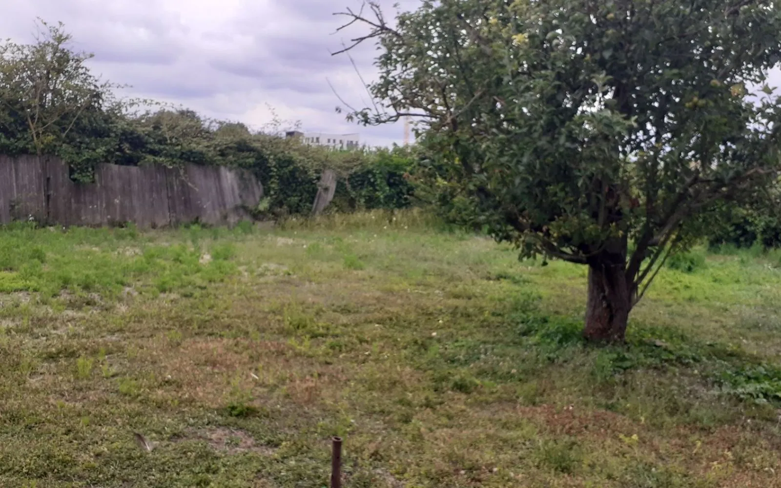 Terrain à bâtir de 500 m² à VILLEMOISSON-SUR-ORGE (91) à Villemoisson-sur-Orge — photo 2