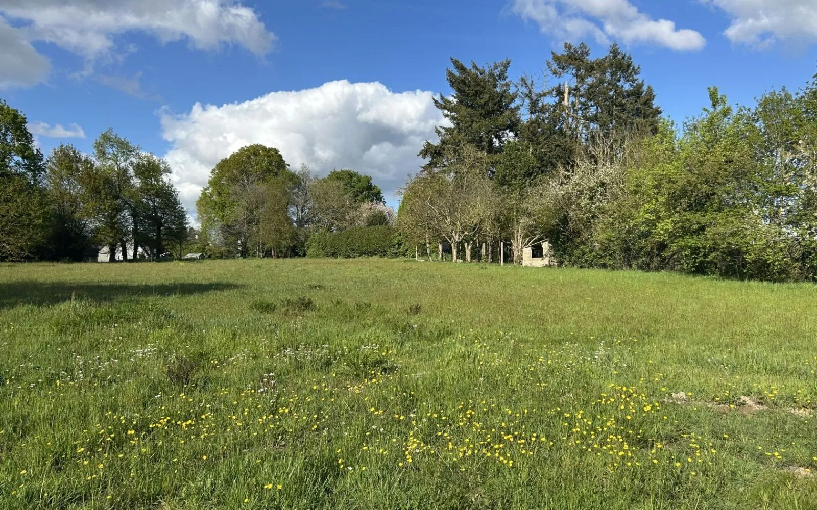 Terrain à bâtir de 5440 m² à LANRELAS (22) à Lanrelas — photo 1