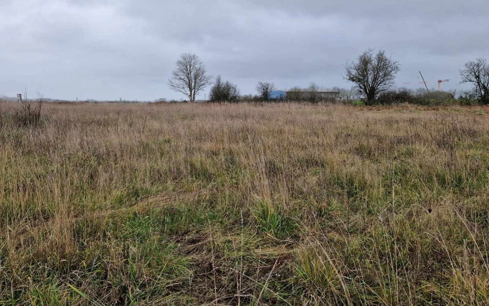 Terrain à bâtir de 412 m² à DAMIGNY (61) à Damigny — photo 1