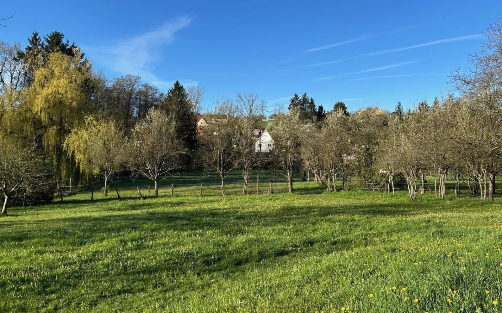 Terrain à bâtir de 800 m² à ZINSWILLER (67) à Zinswiller — photo 1