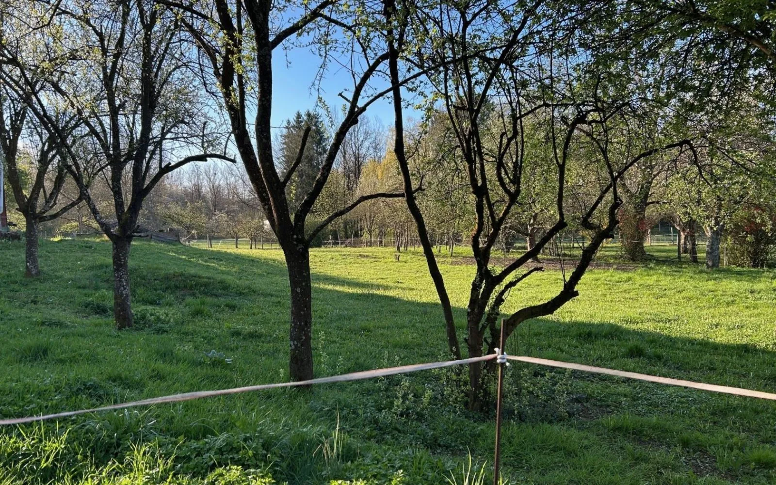 Terrain à bâtir de 800 m² à ZINSWILLER (67) à Zinswiller — photo 2