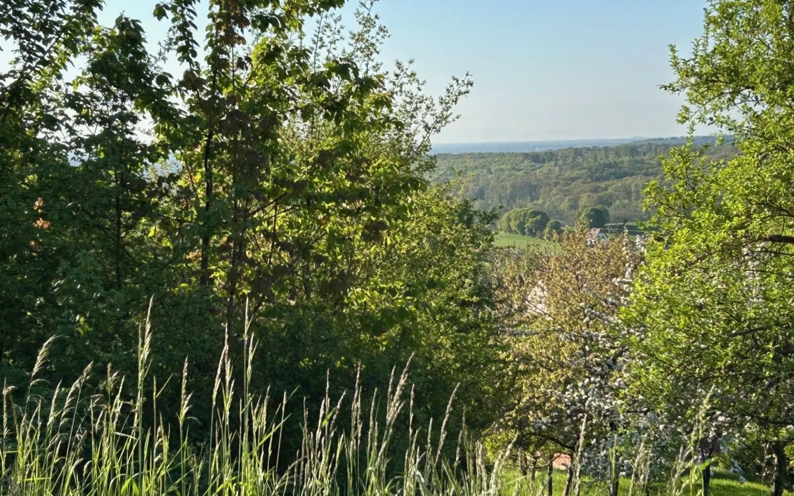 Terrain à bâtir de 1104 m² à OBERBRONN (67) à Oberbronn — photo 1
