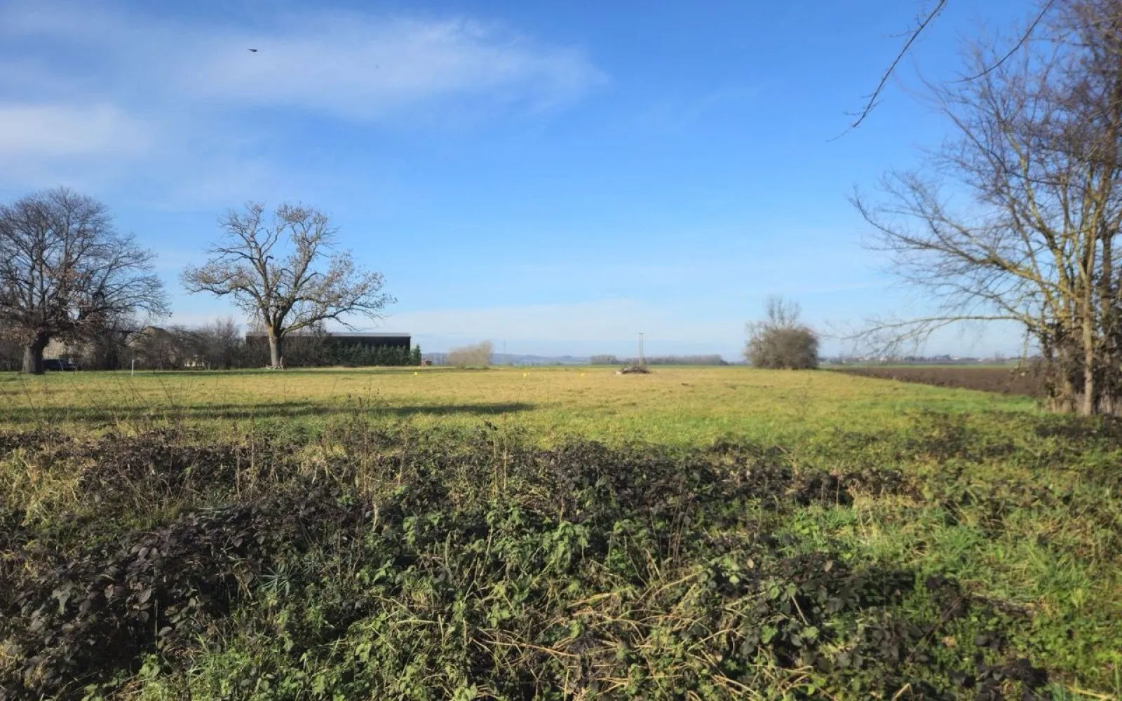 Projet de construction d'une maison 75 m² avec terrain à ESCUROLLES (03) à Escurolles — photo 6