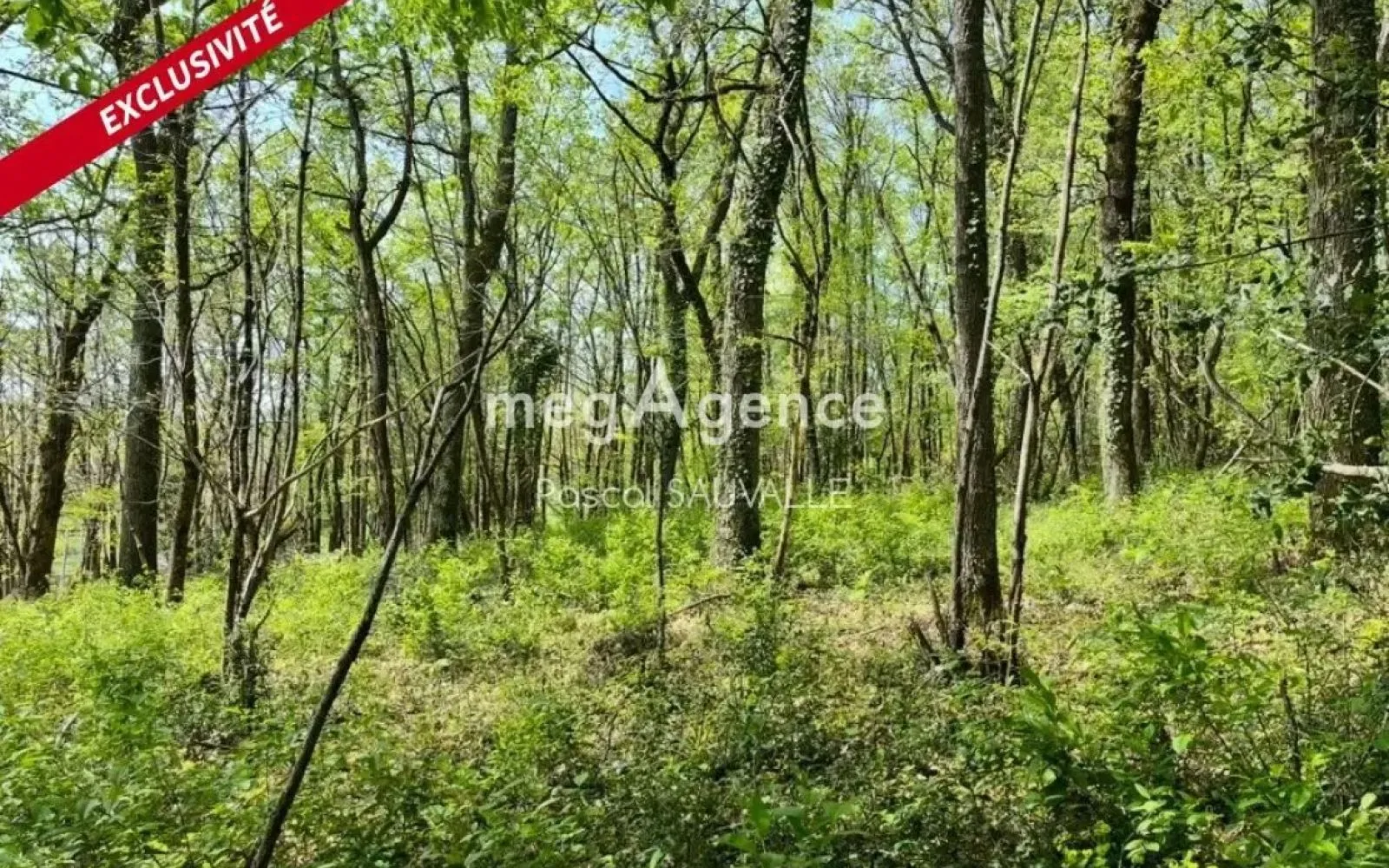 Projet de construction d'une maison 95 m² avec terrain à CHANCELADE (24) à Chancelade — photo 4