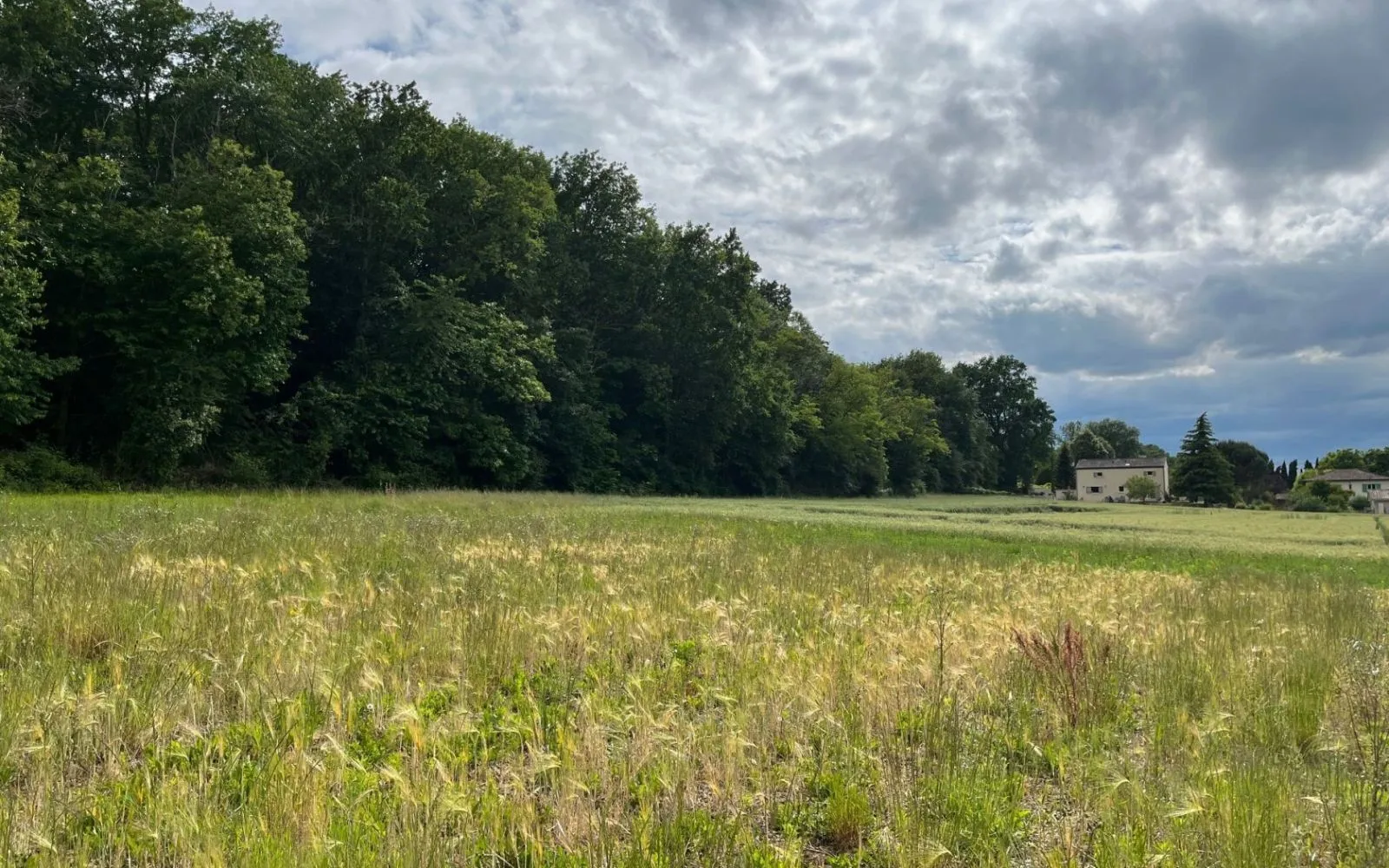 Terrain à bâtir de 1500 m² à VARENNES (24) à Varennes — photo 1