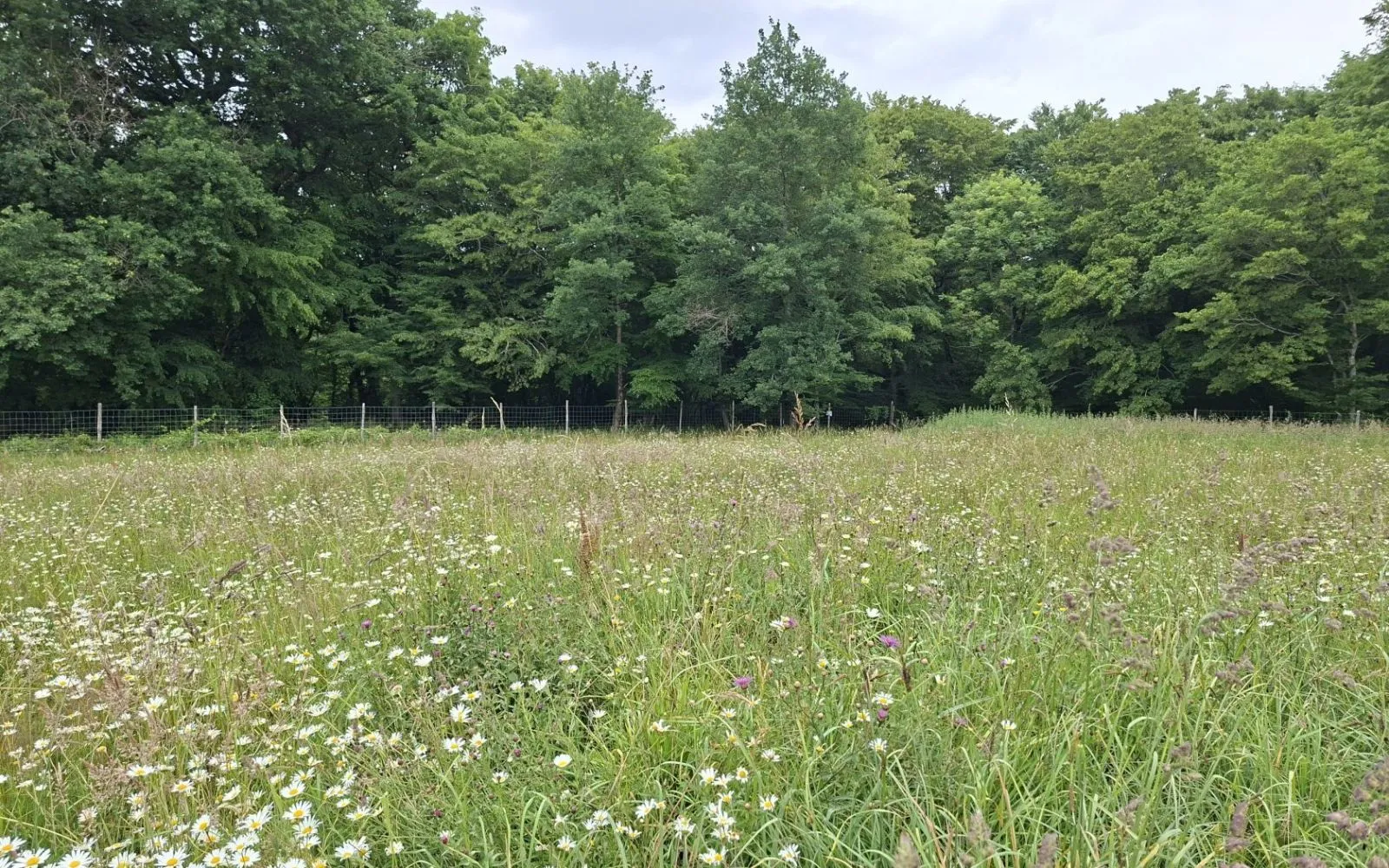 Terrain à bâtir de 600 m² à GOURS (33) à Gours — photo 1