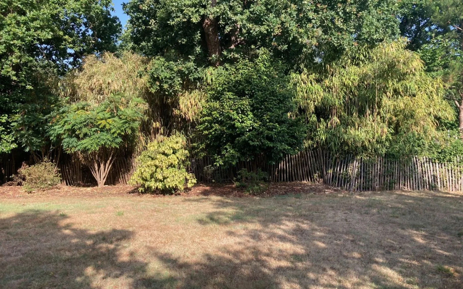 Projet de construction d'une maison 70 m² avec terrain à SALLES (33) à Salles — photo 7