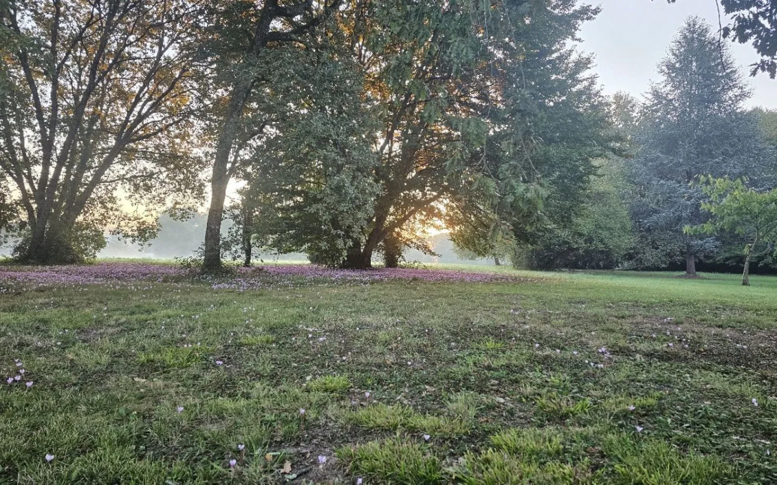 Projet de construction d'une maison 90 m² avec terrain à ESPIET (33) à Espiet — photo 7