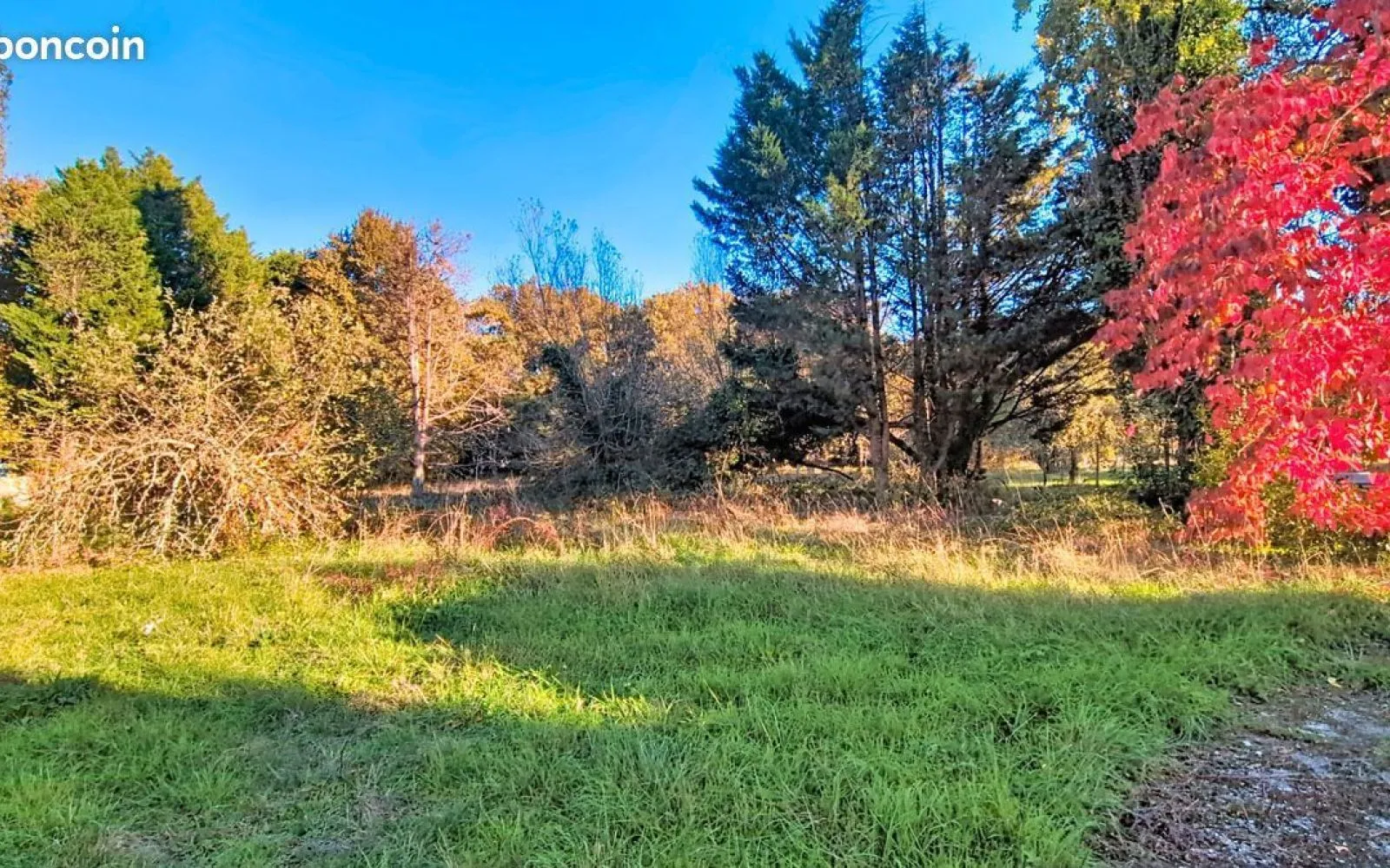 Projet de construction d'une maison 80 m² avec terrain à ROMAGNE (33) à Romagne — photo 8