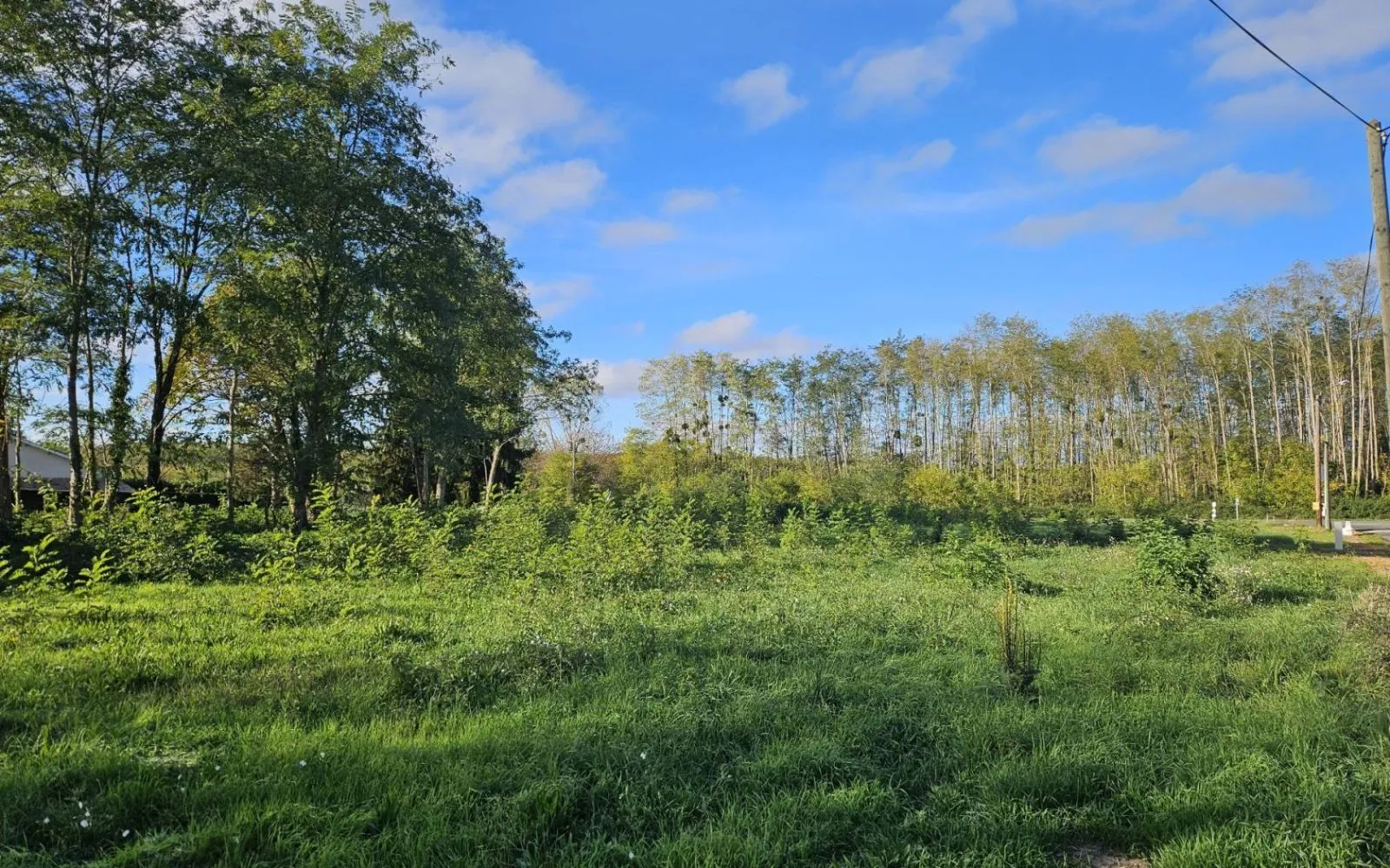Projet de construction d'une maison 90 m² avec terrain à VIRELADE (33) à Virelade — photo 7