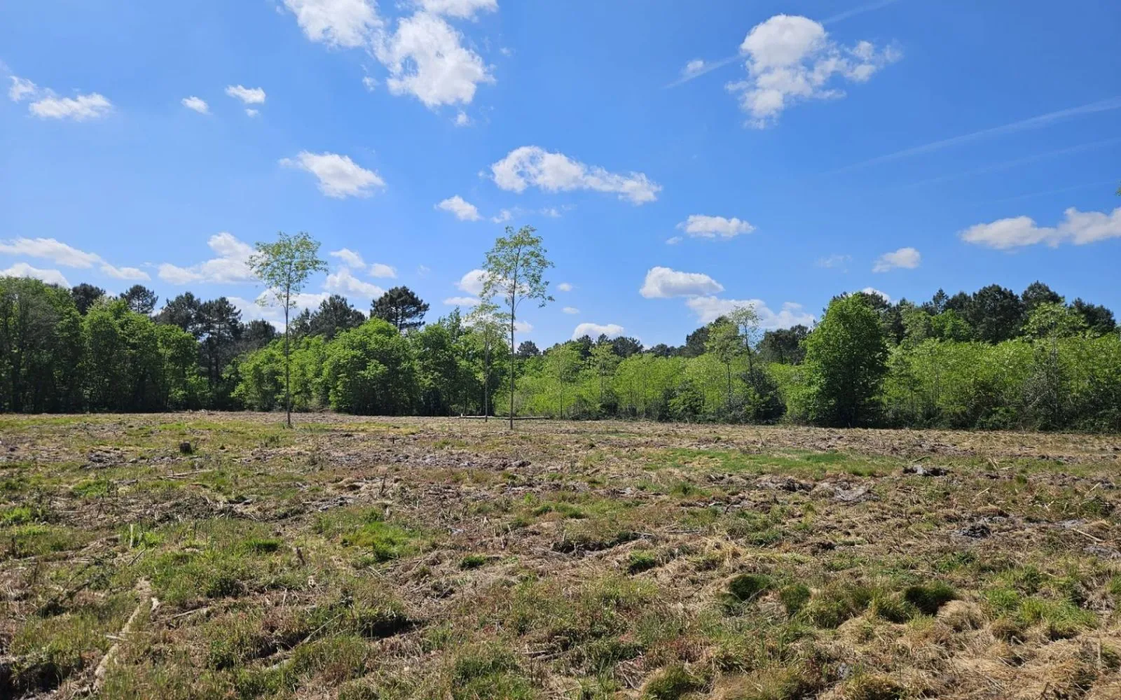 Projet de construction d'une maison 80 m² avec terrain à VIRELADE (33) à Virelade — photo 9
