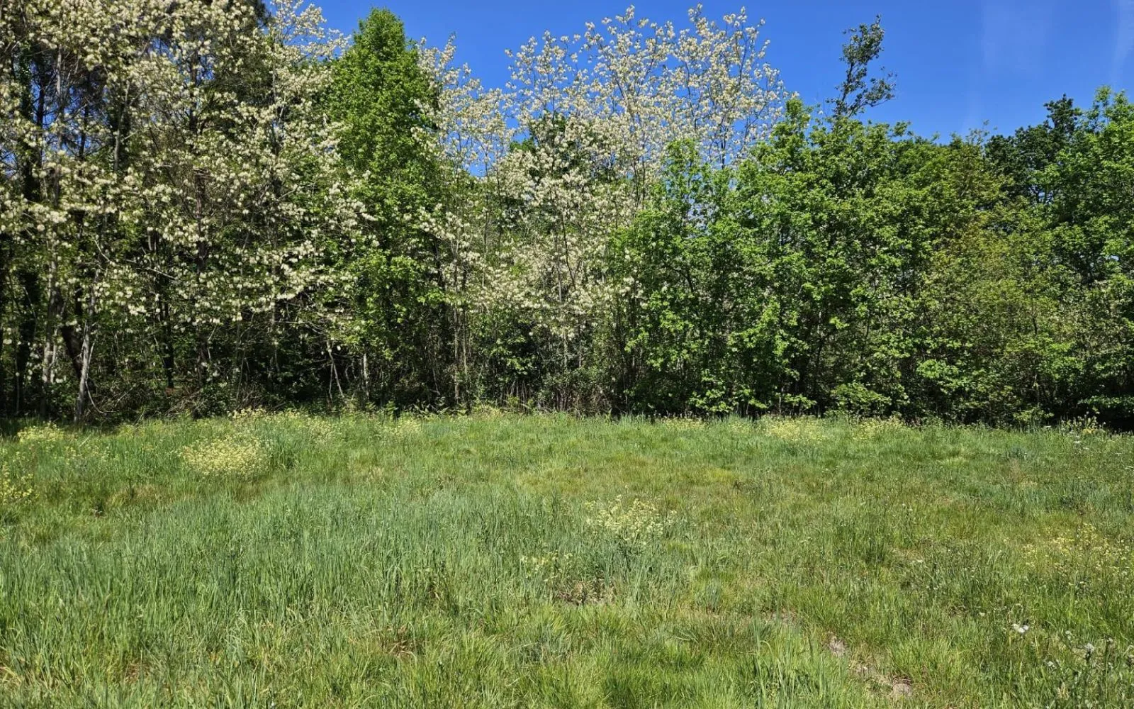 Projet de construction d'une maison 80 m² avec terrain à VIRELADE (33) à Virelade — photo 10