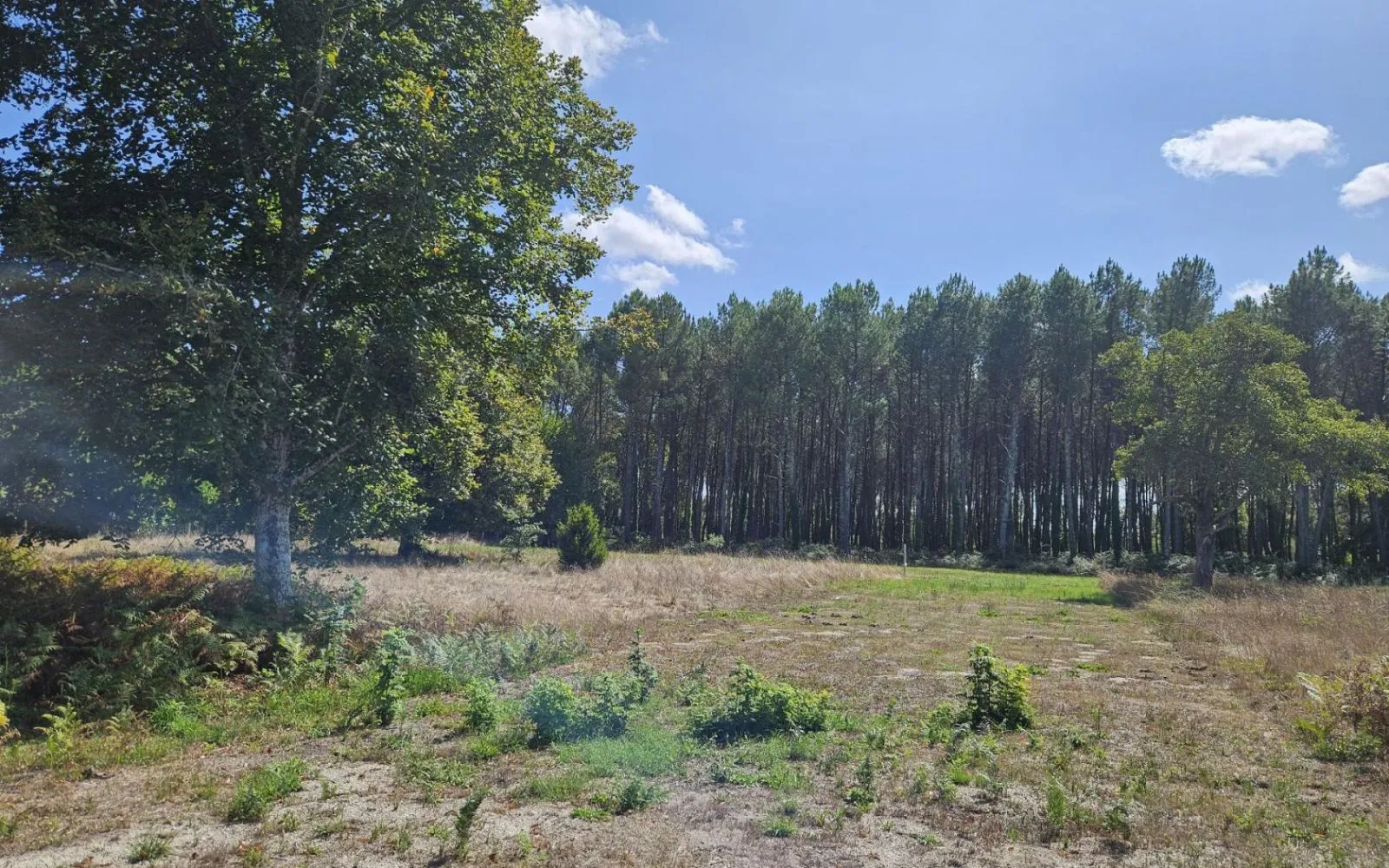 Projet de construction d'une maison 90 m² avec terrain à VIRELADE (33) à Virelade — photo 9
