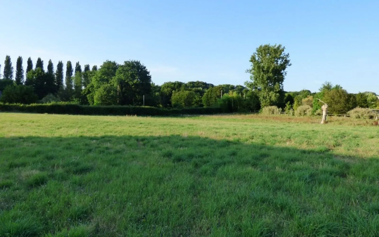 Terrain à bâtir de 1386 m² à PESSAC (33) à Pessac — photo 1