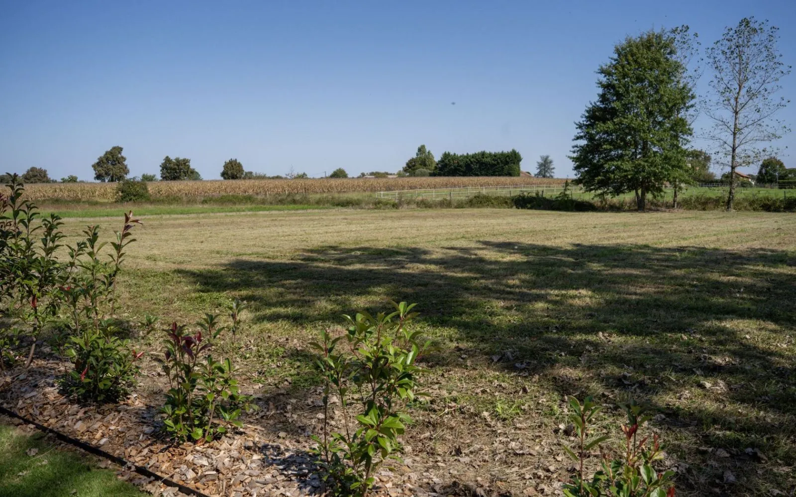Terrain à bâtir de 1500 m² à LATRILLE (40) à Latrille — photo 2