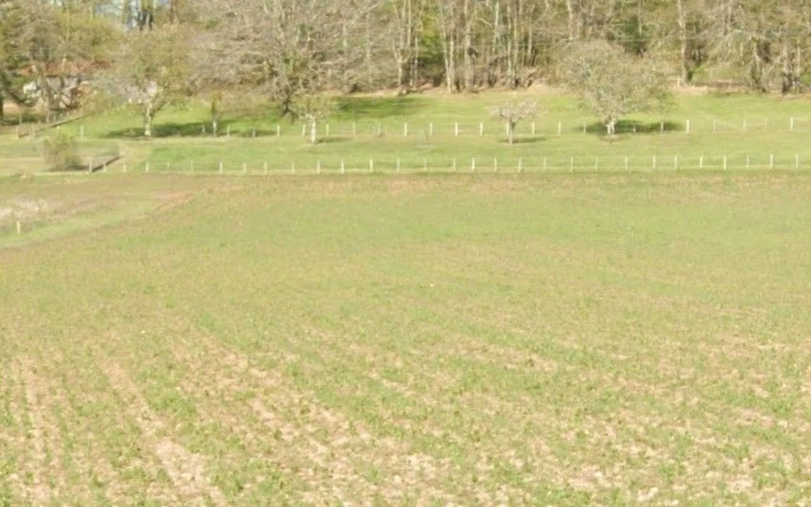 Terrain à bâtir de 1200 m² à LALINDE (24) à Lalinde — photo 1