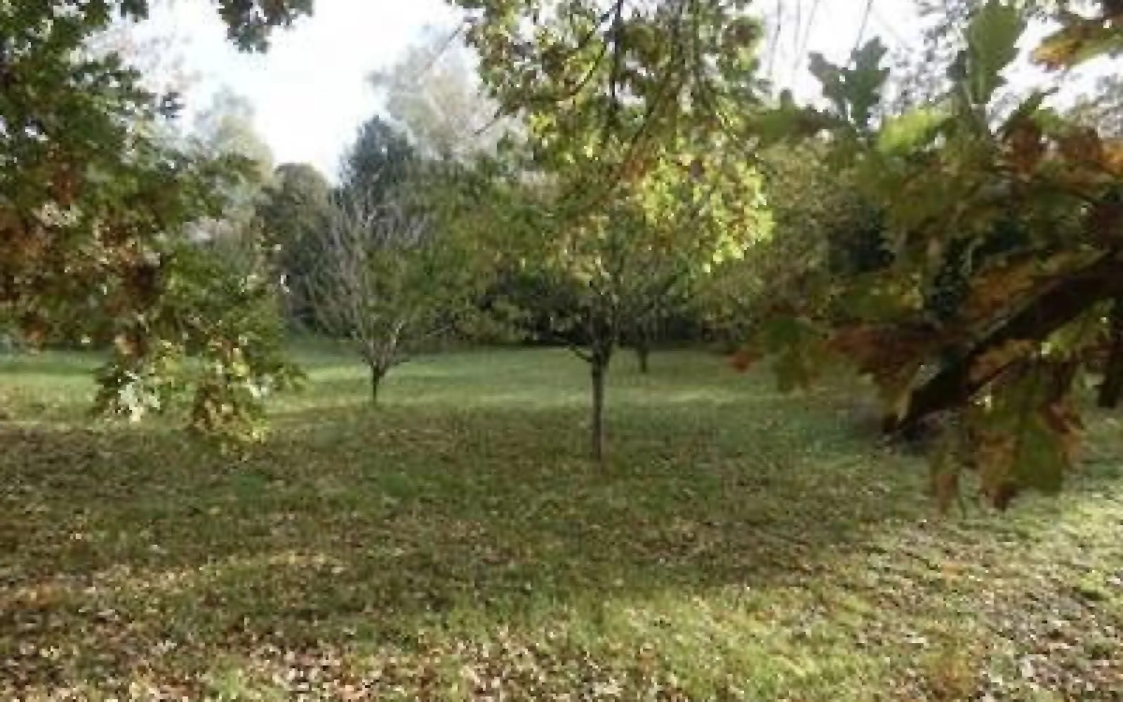 Terrain à bâtir de 460 m² à VALPUISEAUX (91) à Valpuiseaux — photo 1