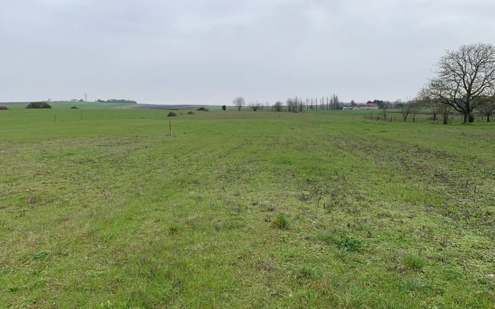 Terrain à bâtir de 1041 m2 au prix de 36435 € à SAINT-LEGER (17) à Saint-Léger — photo 1