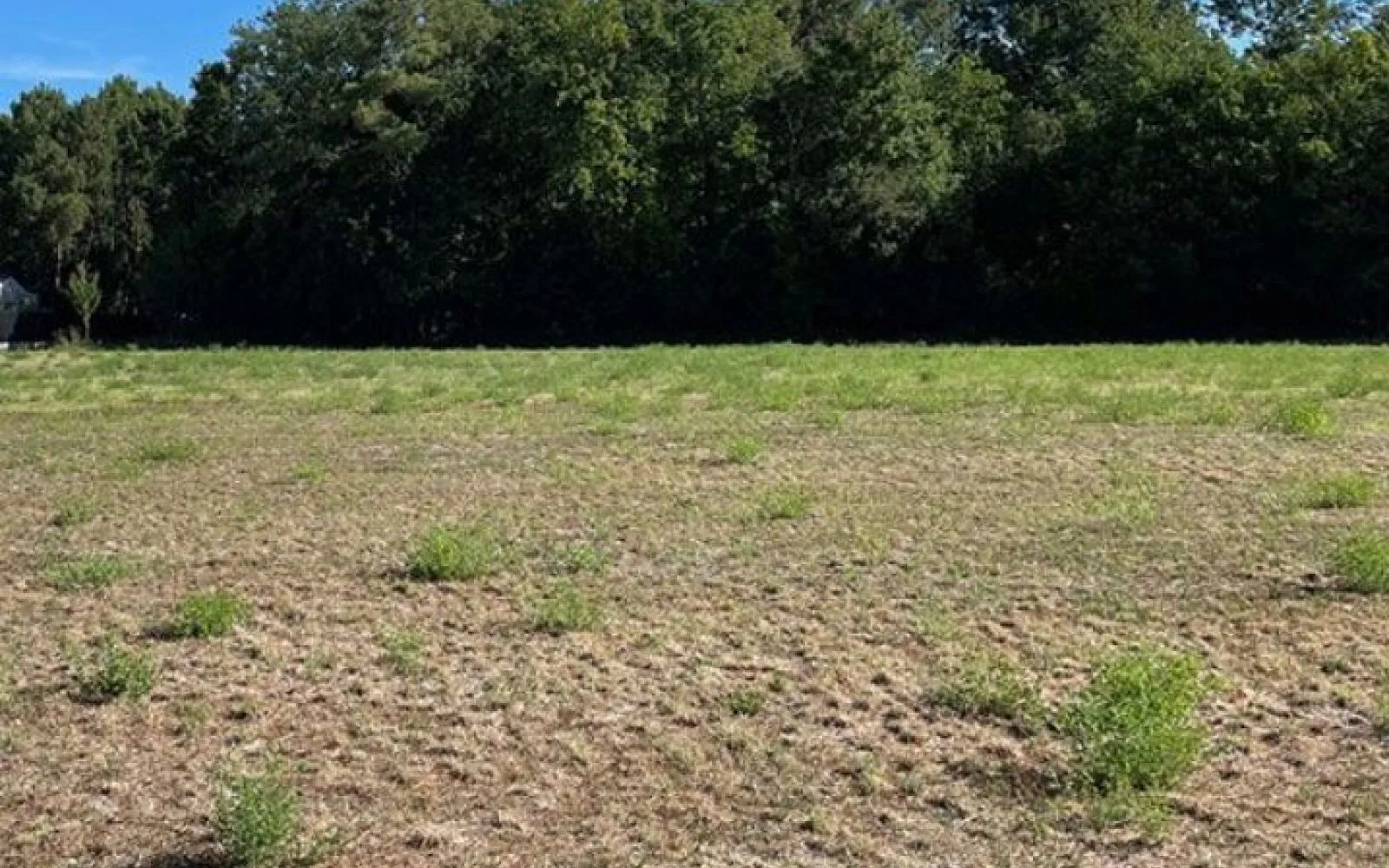 Terrain à bâtir de 401 m2 au prix de 133000 € à LES MATHES (17) à Mathes — photo 1
