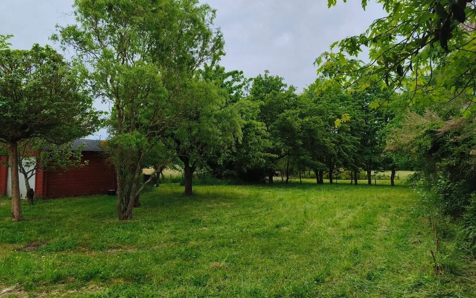 Terrain à bâtir de 5441 m² à LE LOUROUX-BECONNAIS (49) à Le Louroux-Béconnais — photo 2