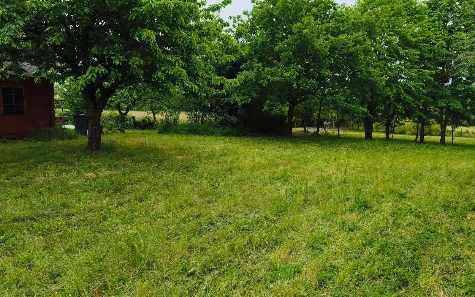 Terrain à bâtir de 5441 m² à LE LOUROUX-BECONNAIS (49) à Le Louroux-Béconnais — photo 3
