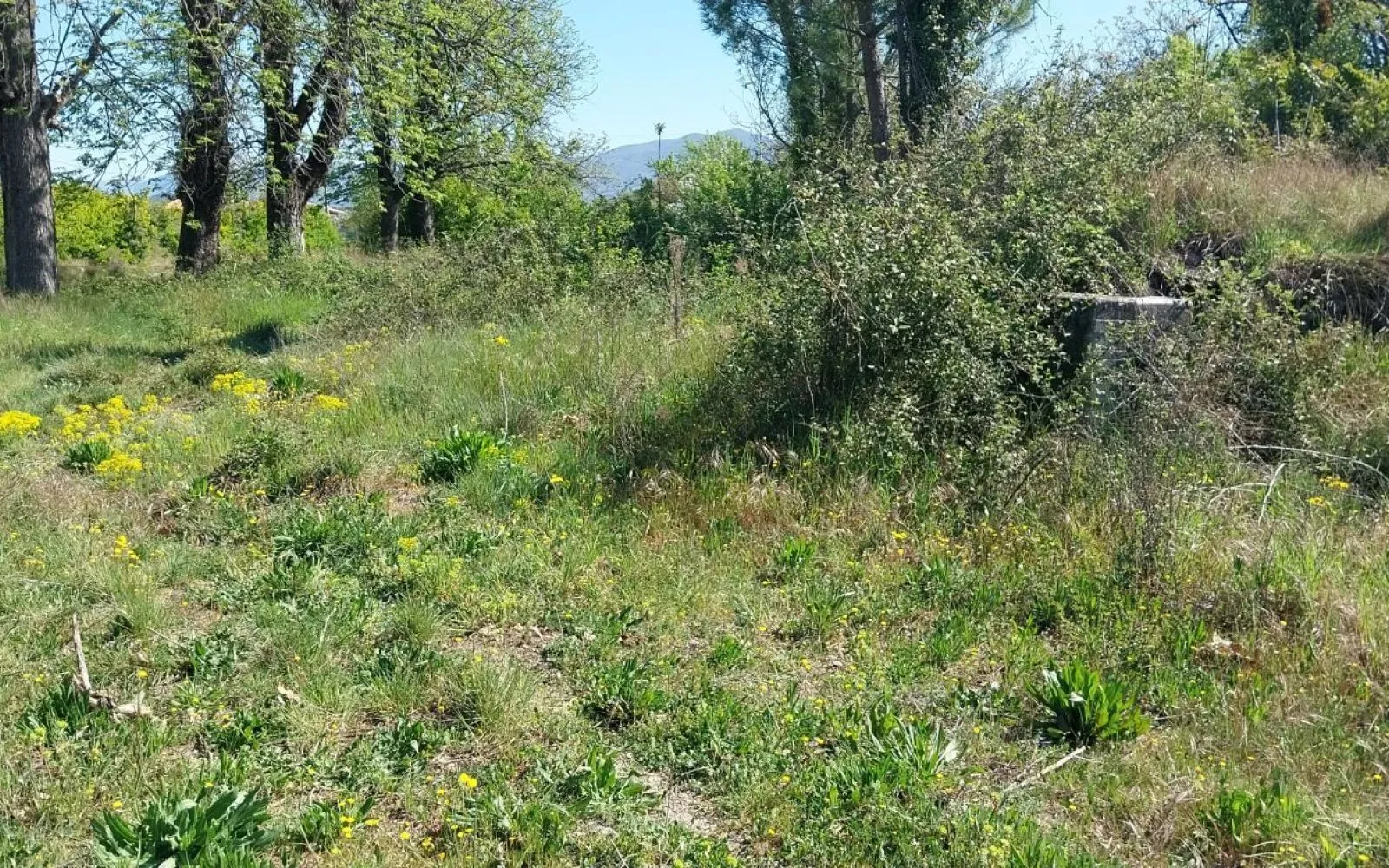 Maison 73 m² avec terrain à PEYRUIS (04) à Peyruis — photo 5