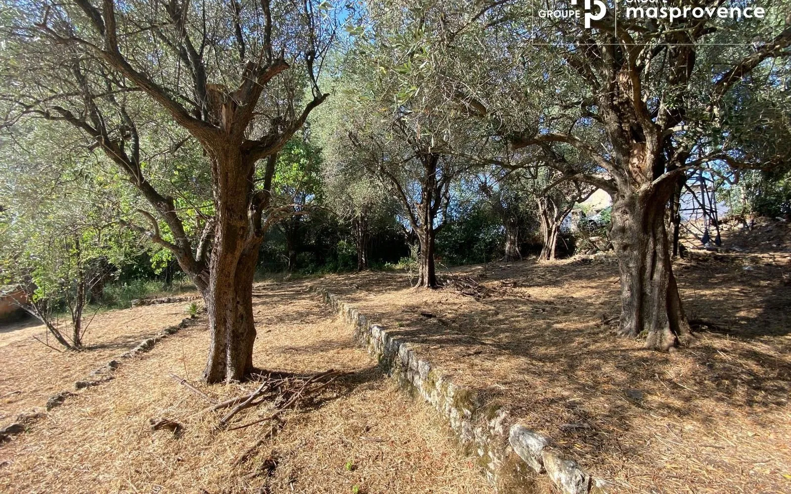 Terrain à bâtir de 846 m² à GRASSE (06) à Grasse — photo 1