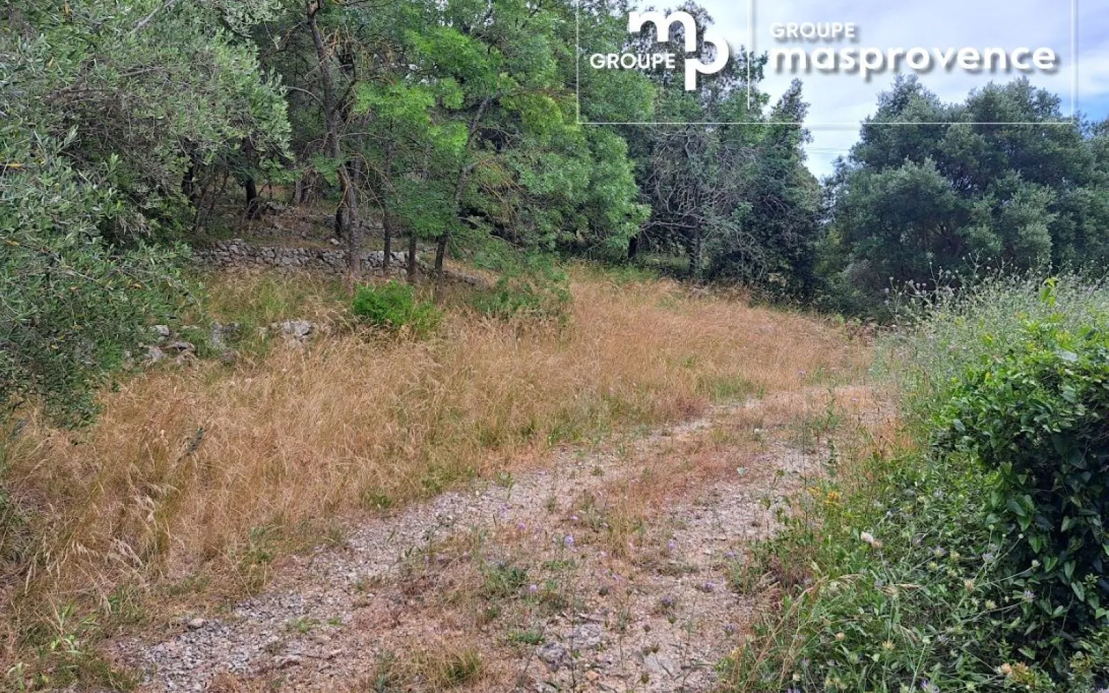 Terrain à bâtir de 3034 m² à GRASSE (06) à Grasse — photo 2