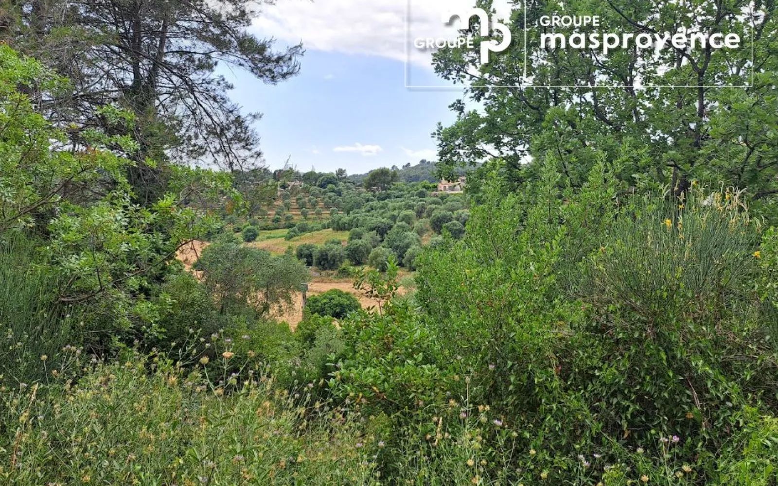 Terrain à bâtir de 3034 m² à GRASSE (06) à Grasse — photo 5