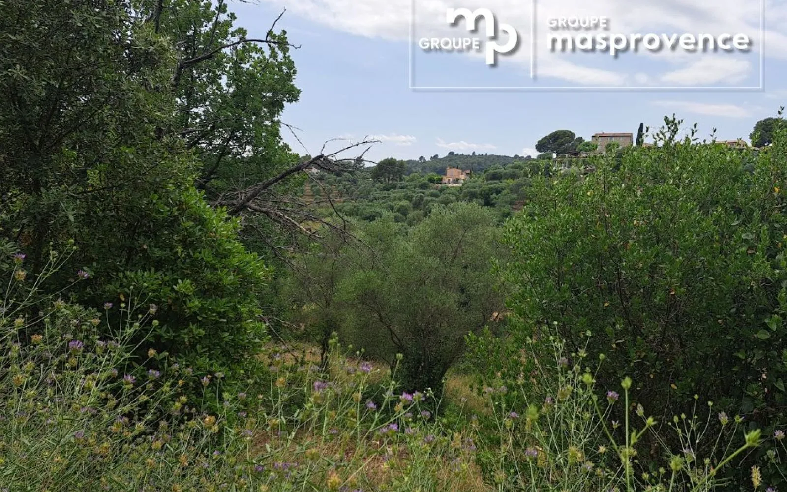 Terrain à bâtir de 3034 m² à GRASSE (06) à Grasse — photo 6