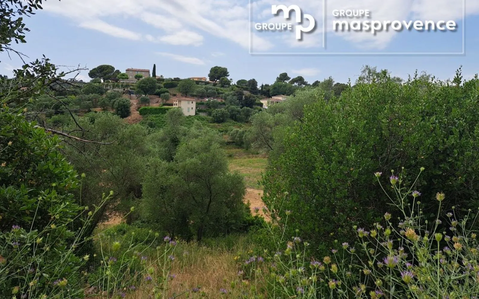 Terrain à bâtir de 3034 m² à GRASSE (06) à Grasse — photo 8