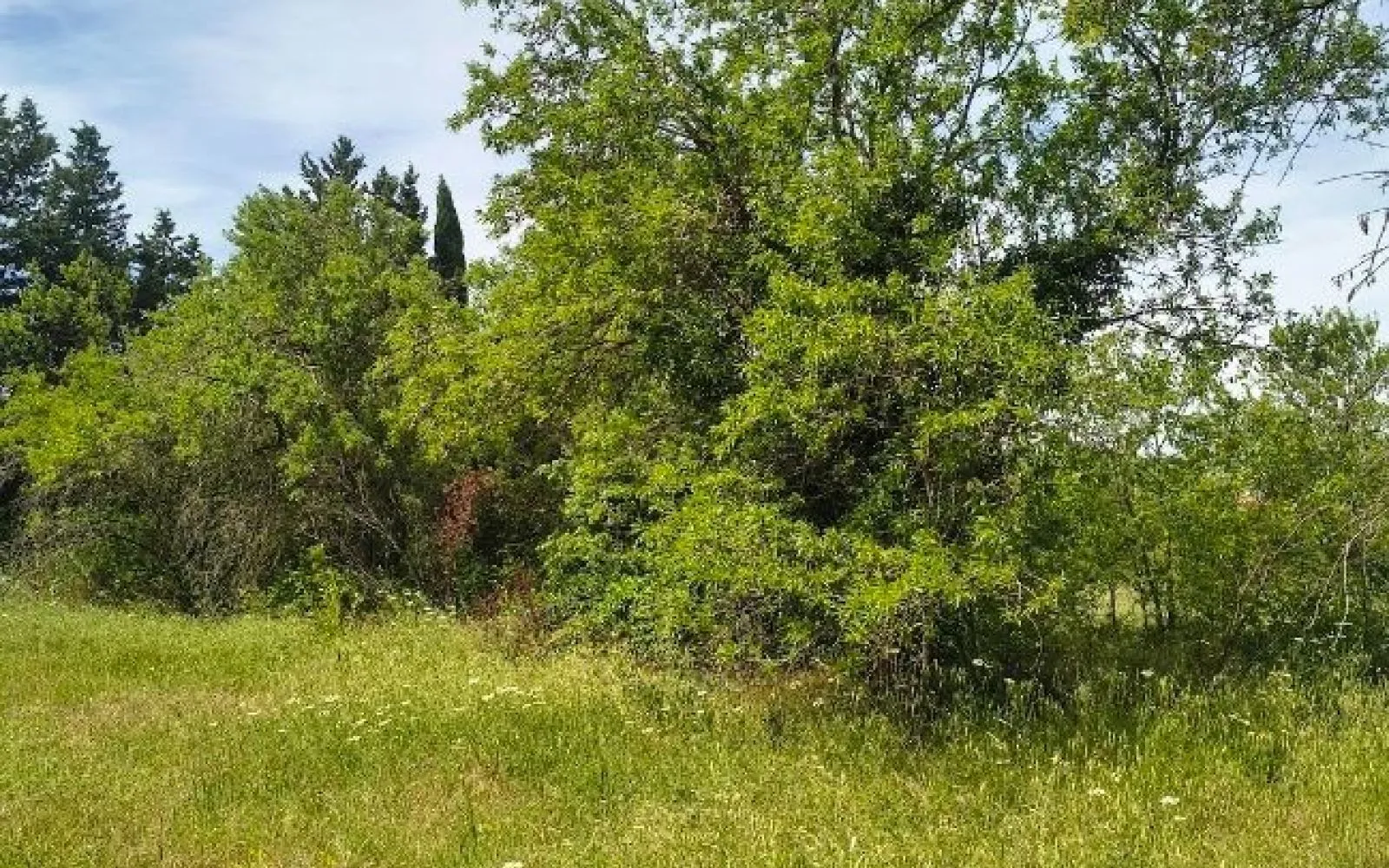 Terrain à bâtir de 1495 m² à CARPENTRAS (84) à Carpentras — photo 1