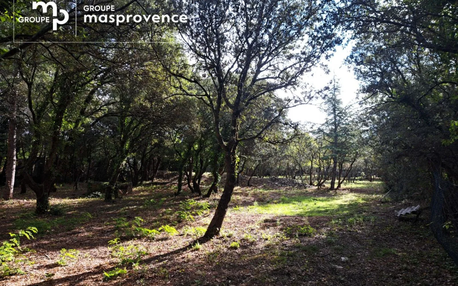 Terrain à bâtir de 700 m² à CABRIERES-D'AVIGNON (84) à Cabrières-d'Avignon — photo 1