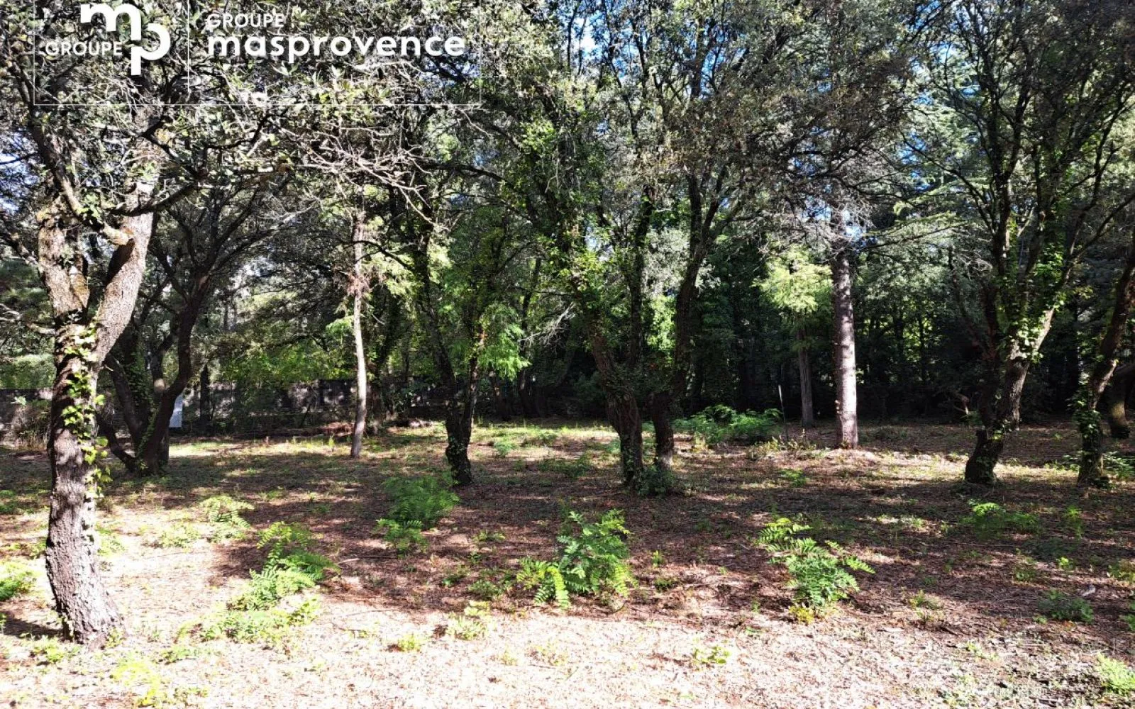 Terrain à bâtir de 700 m² à CABRIERES-D'AVIGNON (84) à Cabrières-d'Avignon — photo 2