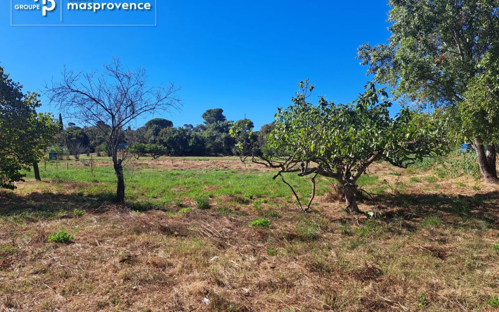 Terrain à bâtir de 416 m² à FREJUS (83) à Fréjus — photo 1