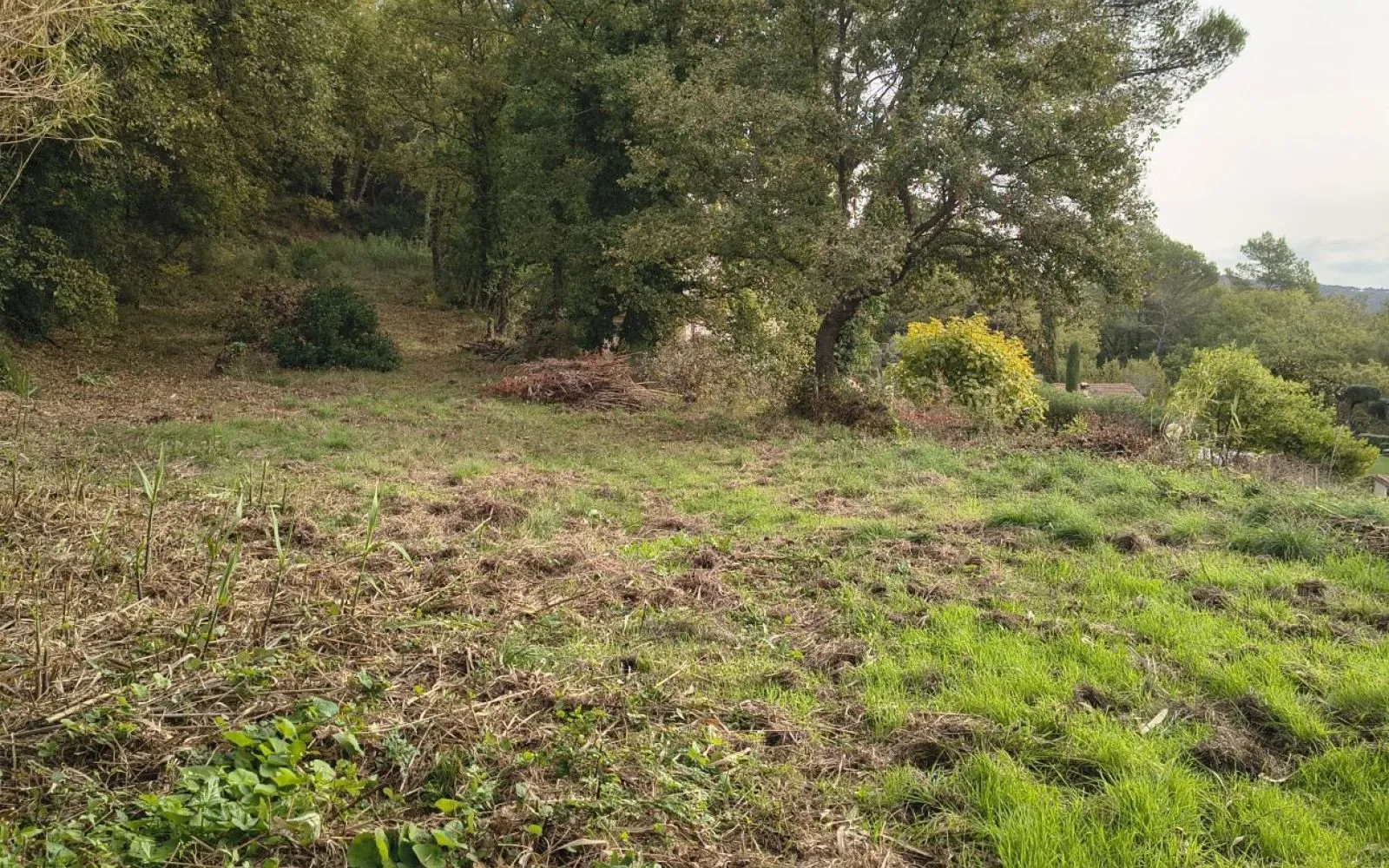 Terrain à bâtir de 2927 m² à BAGNOLS-EN-FORET (83) à Bagnols-en-Forêt — photo 2