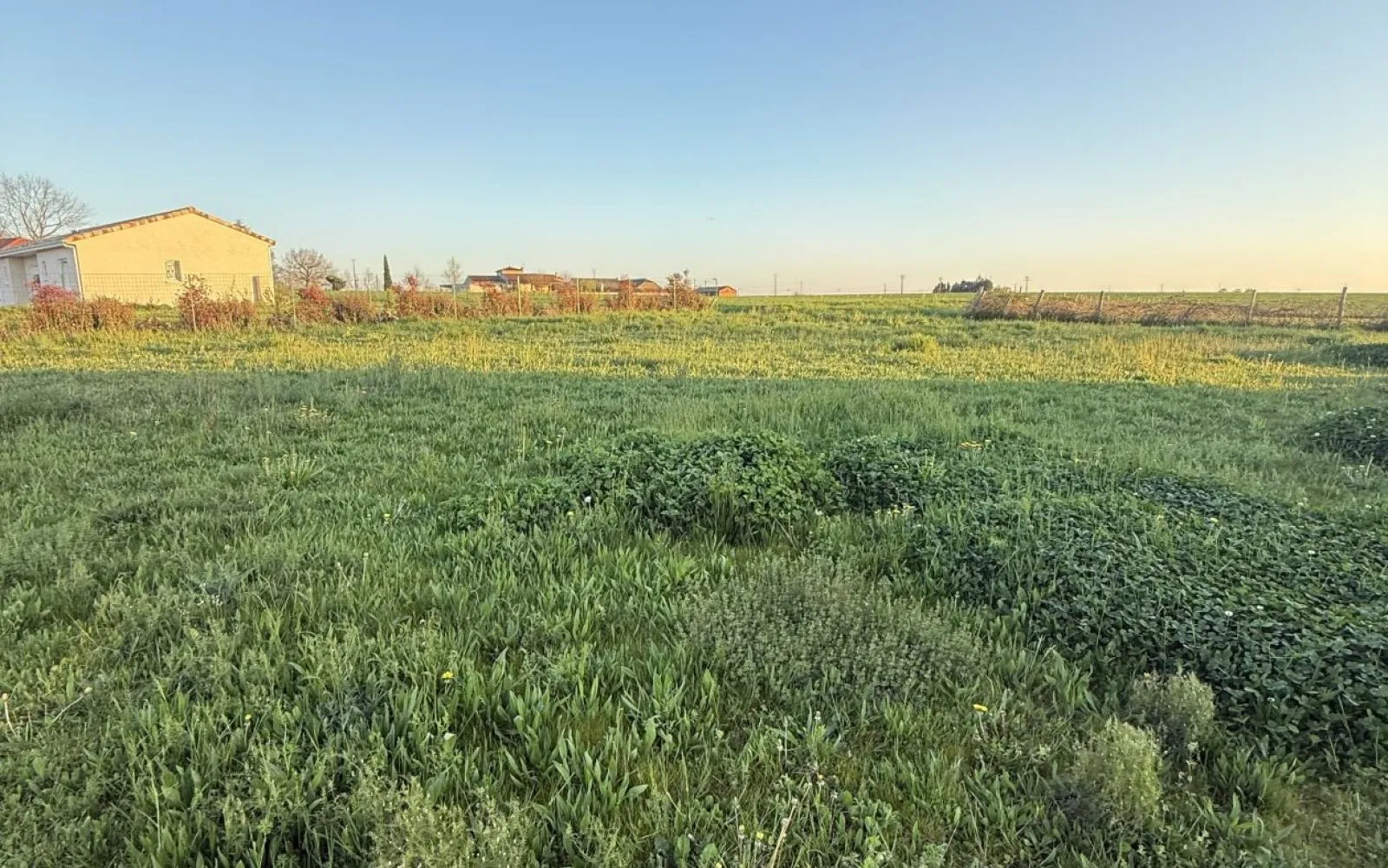 Projet de construction d'une maison 125 m² avec terrain à SERENAC (81) à Sérénac — photo 3