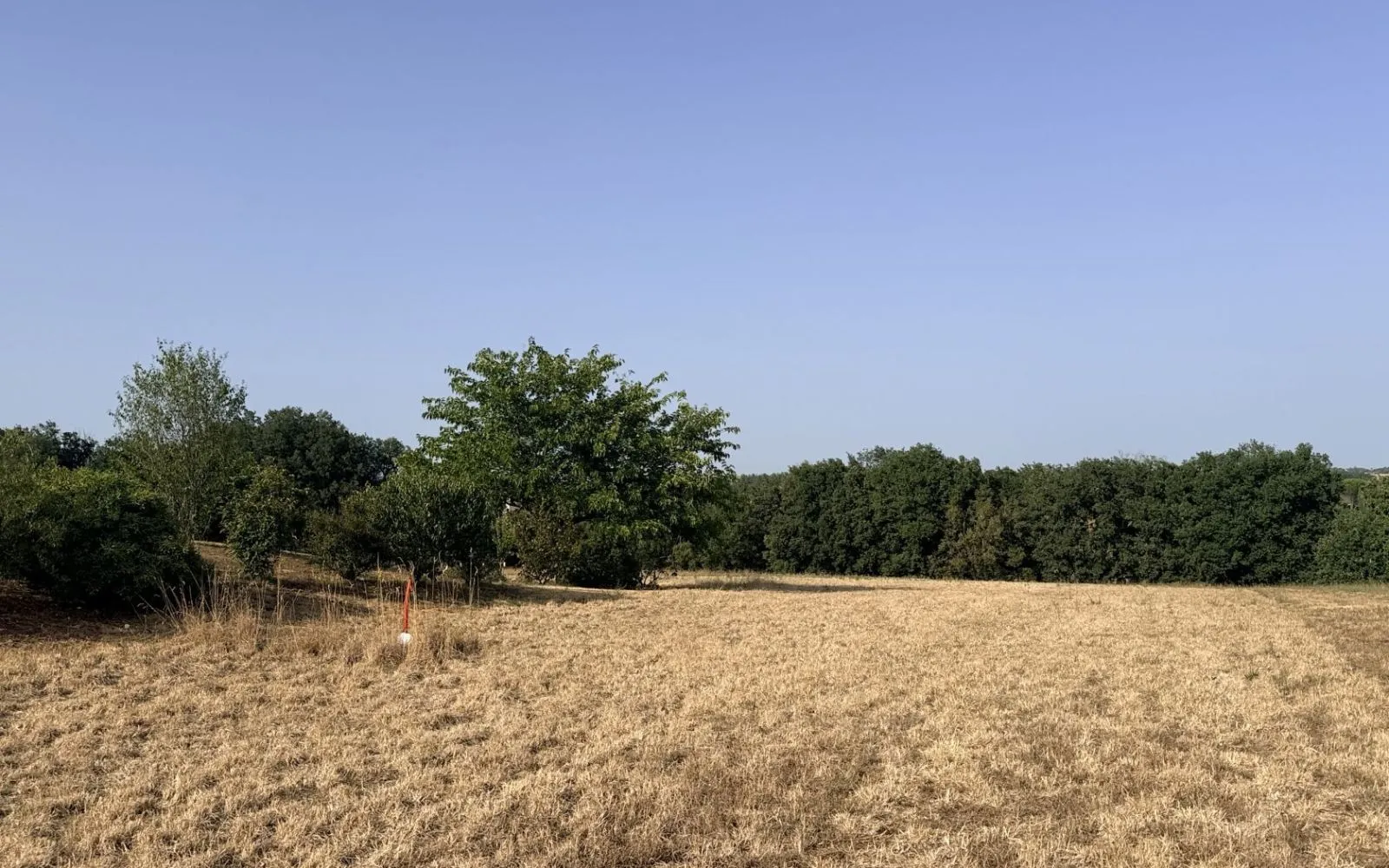 Projet de construction d'une maison 179 m² avec terrain à CAMBON (81) à Cambon — photo 4