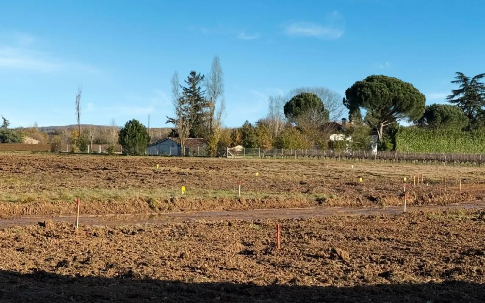 Projet de construction d'une maison 103 m² avec terrain à LAGRAVE (81) à Grave — photo 3