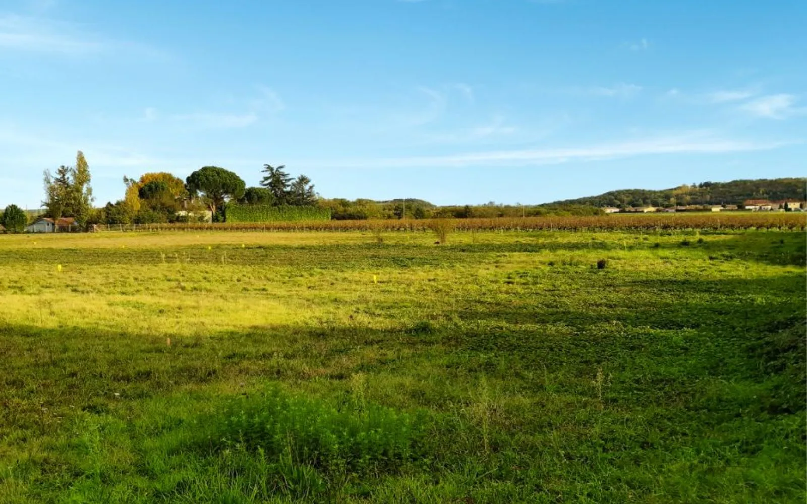 Projet de construction d'une maison 103 m² avec terrain à LAGRAVE (81) à Grave — photo 4