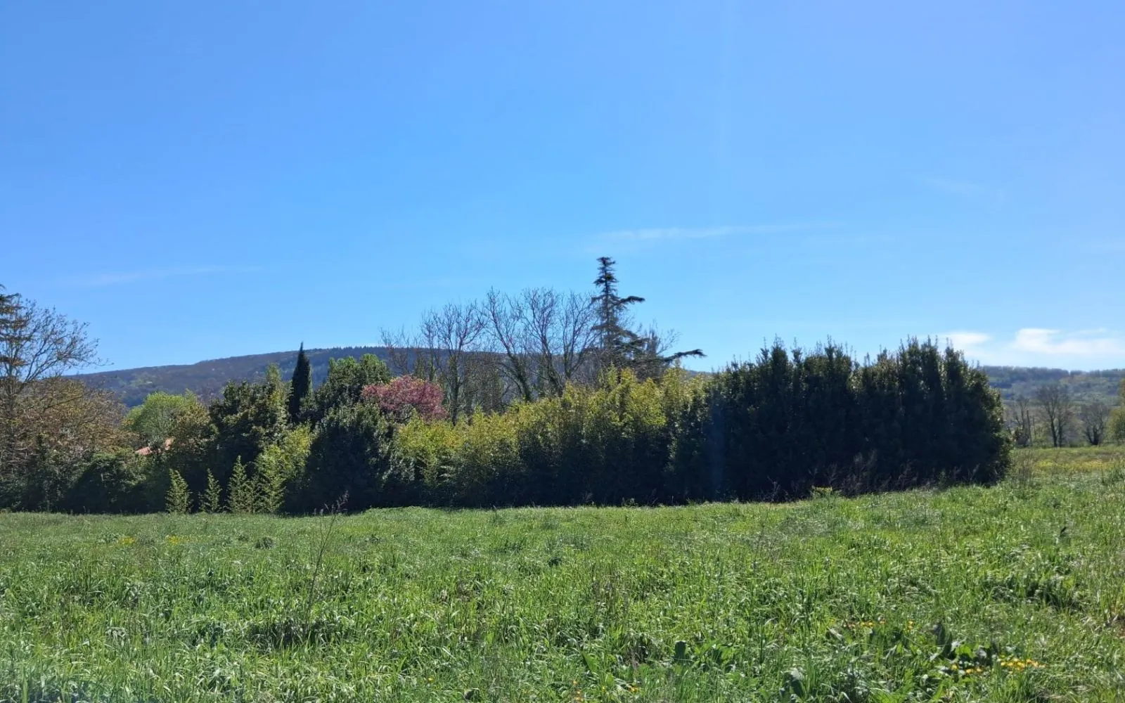 Projet de construction d'une maison 87 m² avec terrain à SOREZE (81) à Sorèze — photo 6