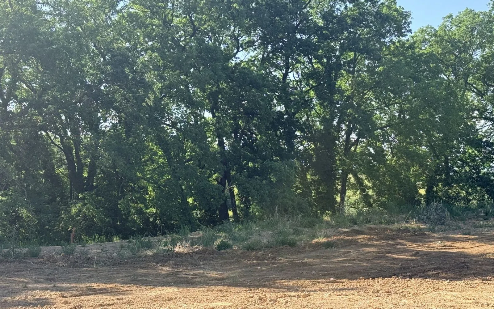 Projet de construction d'une maison 114 m² avec terrain à TECOU (81) à Técou — photo 5