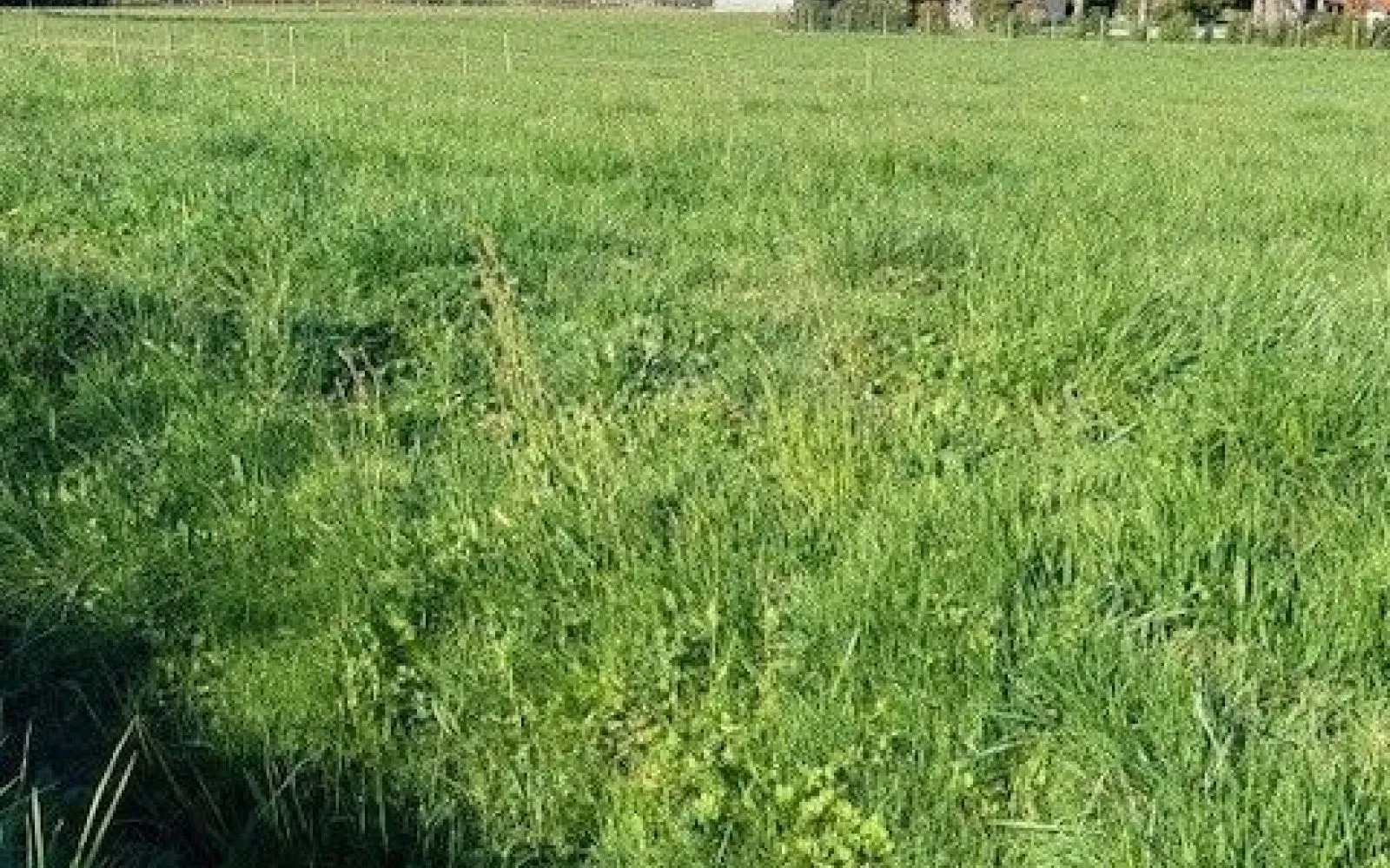 Terrain à bâtir de 725 m² à ALBI (81) à Albi — photo 3