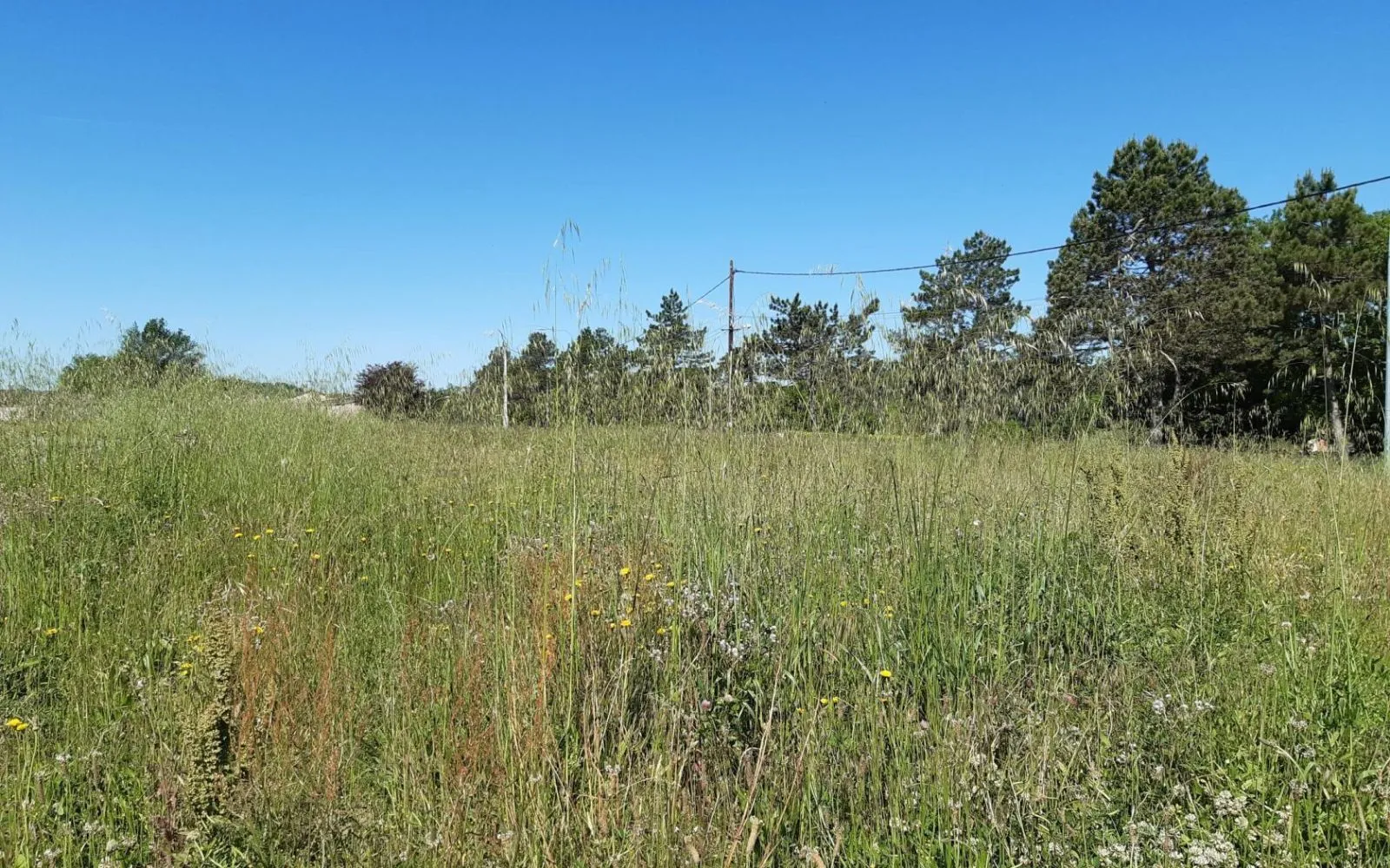 Terrain à bâtir de 876 m² à CASTRES (81) à Castres — photo 1