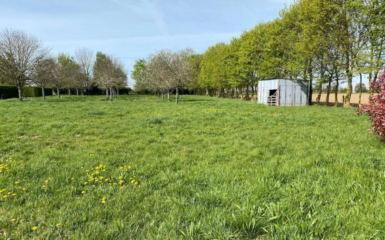 Terrain à bâtir de 434 m² à ELLON (14) à Ellon — photo 2