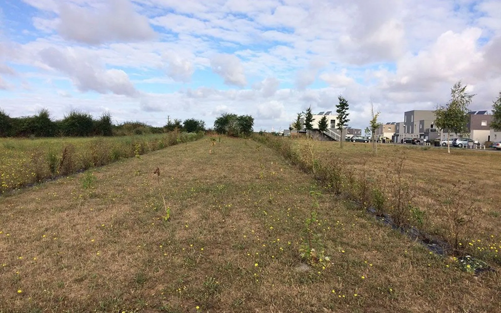Terrain à bâtir de 463 m² à MOULT (14) à Moult — photo 1